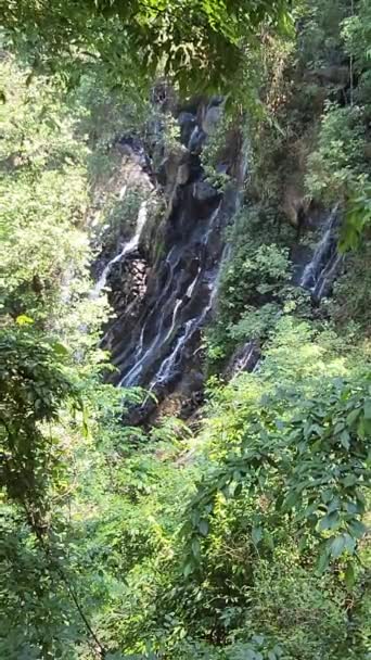 Водопад Вело Новия Авандаро Мексика Среди Листвы Деревьев — стоковое видео