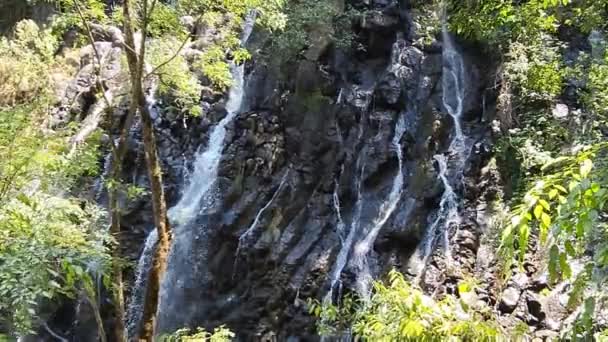 Пресноводный Водопад Авандаро Мексика Течение Весеннего Сезона — стоковое видео