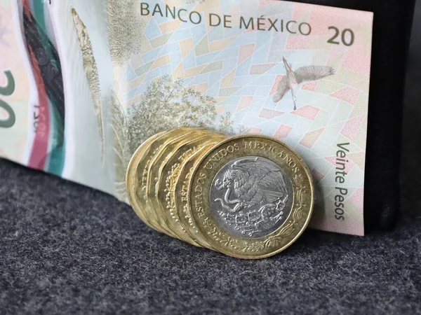 Inflygning Till Mexikanska Mynt Med Tjugo Pesos Och Sedlar — Stockfoto