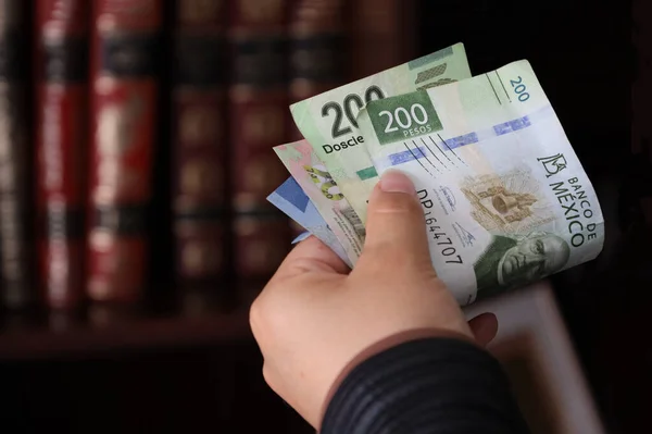 Arka planda Meksika banknotları ve kitapları tutan bir kadının elleri.