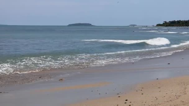 Tropiskt Landskap Stranden Punta Mita Mexiko Solig Dag — Stockvideo