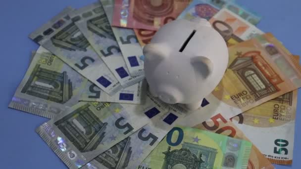 Sparschwein Und Europäische Banknoten Verschiedener Stückelungen Mit Kreisbewegung — Stockvideo