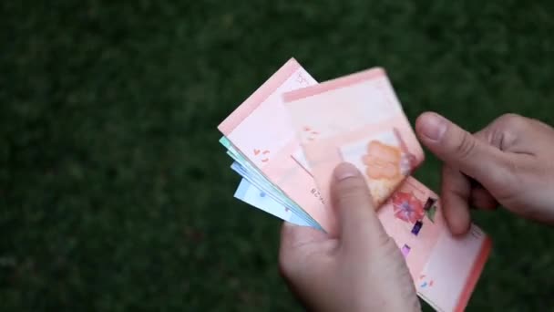 Hands Woman Holding Counting Malaysia Banknotes Different Denomination — Stock Video