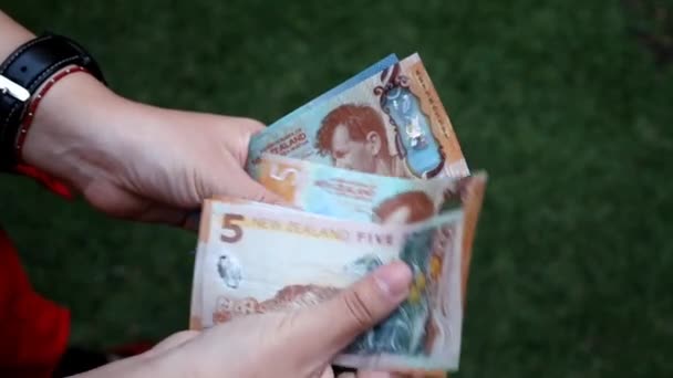 一个女人的手 手里拿着纽西兰钞票 在花园里数着钞票 — 图库视频影像
