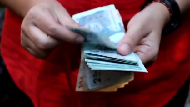 異なる宗派のコロンビアの紙幣を保持し 数える女性の手 — ストック動画