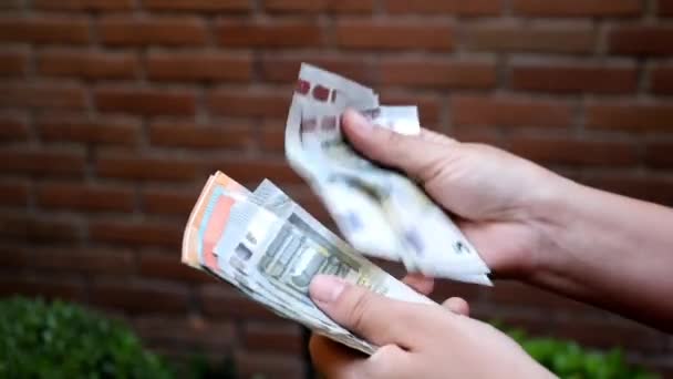 Hands Woman Holding Counting European Banknotes Different Denomination — Wideo stockowe