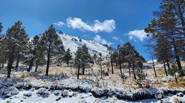 Nevado de Toluca volkan bölgesinde kış mevsiminde karlı dağ manzarası