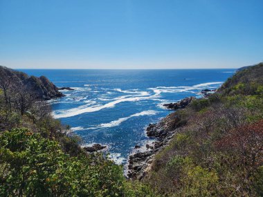 Huatulco Körfezi Ekolojik Rezervindeki Tropikal Arazi