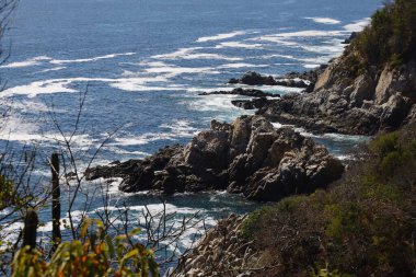 Huatulco Körfezi Ekolojik Rezervindeki Tropikal Arazi