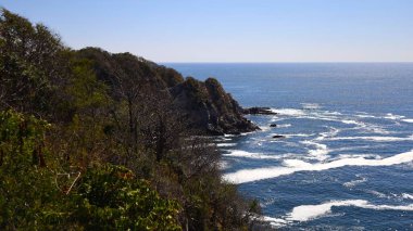 Huatulco Körfezi Ekolojik Rezervindeki Tropikal Arazi