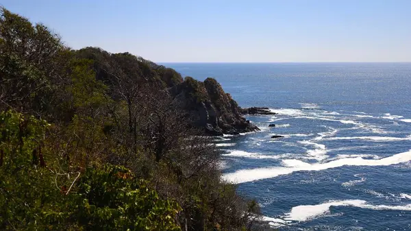 Huatulco Körfezi Ekolojik Rezervindeki Tropikal Arazi