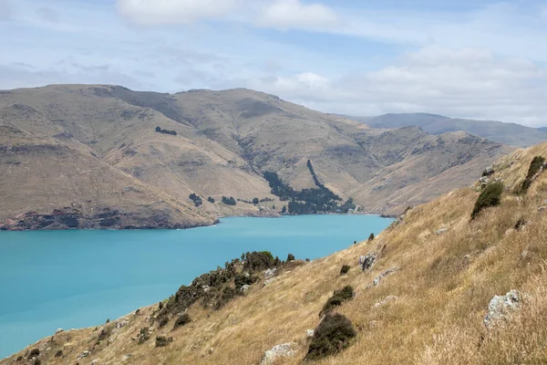 Yeni Zelanda Daki Bir Milli Parktan Deniz Manzarası Kayalık Bir — Stok fotoğraf