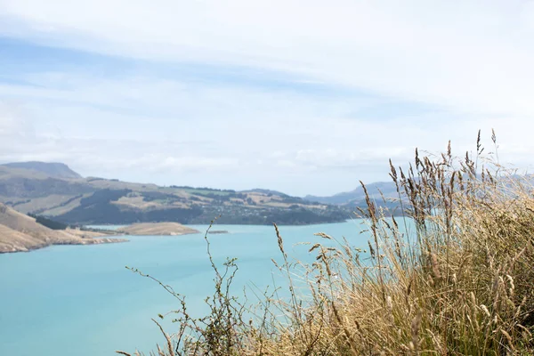 Yeni Zelanda Daki Bir Milli Parktan Deniz Manzarası Kayalık Bir — Stok fotoğraf
