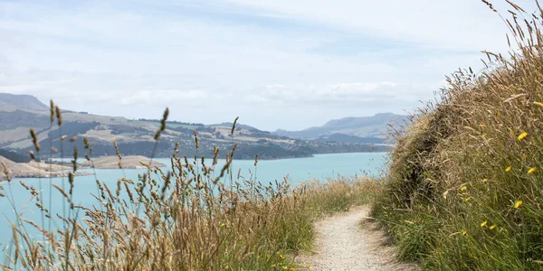 Path Sea View Road Hiking Stunning Landscape Landscape New Zealand — Stock Photo, Image