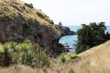 Yeni Zelanda 'daki bir milli parktan deniz manzarası. Kayalık bir sahili olan bir körfez. Doğa ile duvar kağıdı.