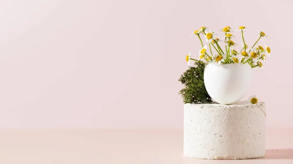 春とイースターのコンセプト 明るいピンクの背景に表彰台に卵殻デイジーの花束 スペースのコピー — ストック写真