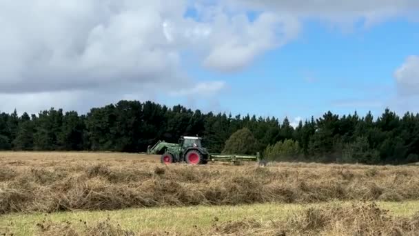 Ciągnik Pracuje Polu Zbierając Siano Koncepcja Rolnictwa Maszyn Rolniczych — Wideo stockowe