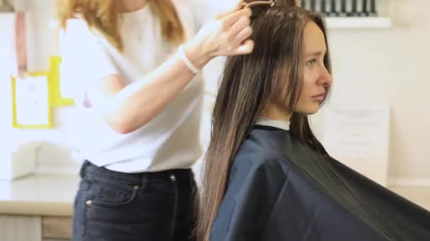 理发师用吹风机和圆形梳子擦干顾客的头发 美容院 — 图库视频影像