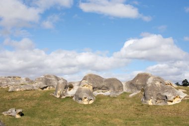 Kuzey Otago, Yeni Zelanda 'daki fil kayaları. NZ 'deki güney adasının turistik yerleri. Doğal cazibeler.