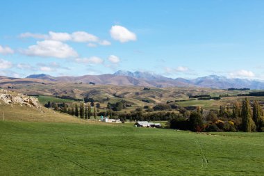 Sonbaharda Yeni Zelanda 'nın güney adasında tarlalar, dağlar ve mavi gökyüzü. Güzel doğa. Turizm.