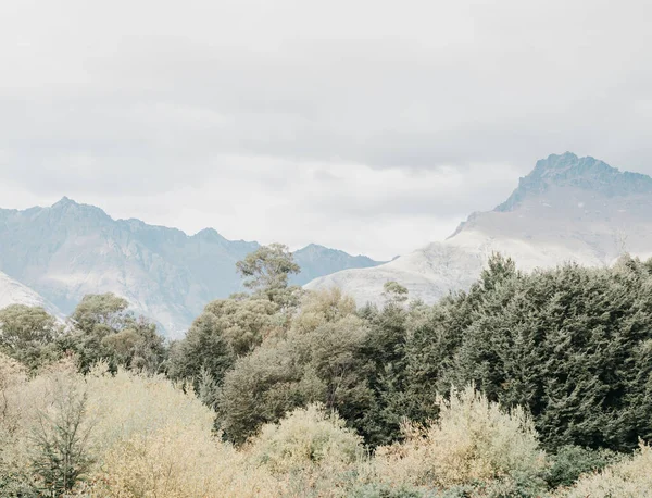 Bulutlu Bir Günde Ormanın Dağların Manzarası Yeni Zelanda — Stok fotoğraf