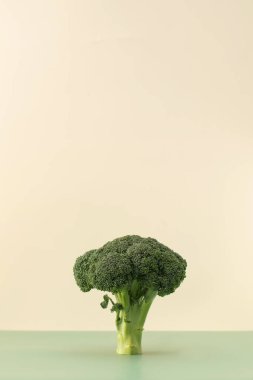 Yeşil ve bej arka planda taze çiğ brokoli. Vejetaryenlik kavramı, sağlıklı beslenme. Boşluğu kopyala.