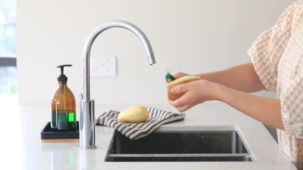Woman Peels Potatoes Vegetable Peeler Sink Kitchen Process Cooking Dish — Stock Video