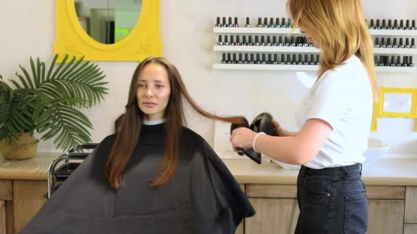 Κομμωτής Στεγνώνει Μαλλιά Των Πελατών Στεγνωτήρα Μαλλιών Και Στρογγυλή Χτένα — Αρχείο Βίντεο