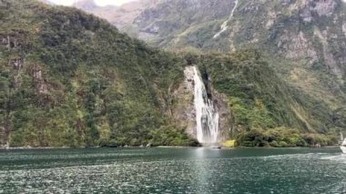 Yeni Zelanda 'da fiyort şelalesi. Milford Sound 'da. Seyahat et. Video.