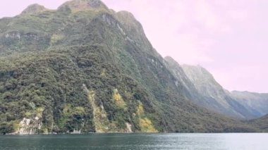 Fiyort manzarası. Milford Sound, Yeni Zelanda 'da. Seyahat konsepti. Video