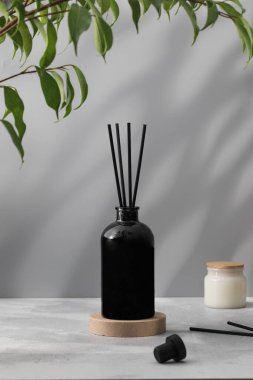 Siyah bir şişedeki bambu çubukları ve ev parfümleri. Ev için güzel kokulu cam ayırıcı. Aromaterapi.