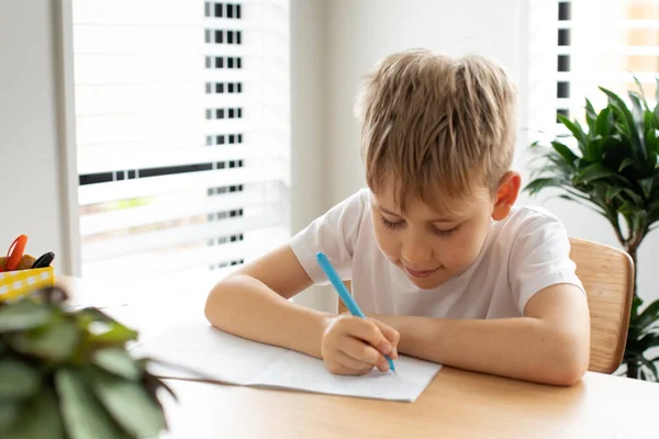 かわいい男の子が家で宿題をしている 遠隔教育 オンライン教育 少年はノートに熱心に書いている — ストック写真