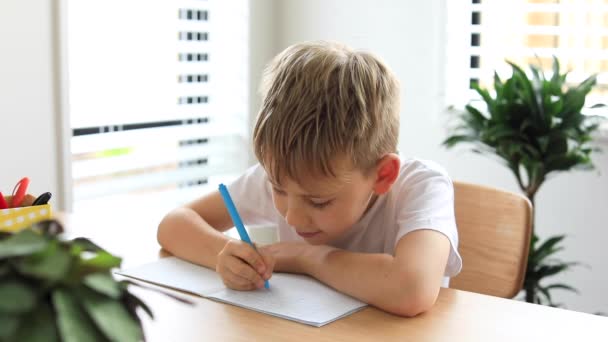かわいい男の子が家で宿題をしている 遠隔教育 オンライン教育 少年はノートに熱心に書いている ビデオ — ストック動画