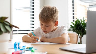 Sevimli bir çocuk çevrimiçi bir okulda okuyor. Çocuk bir dizüstü bilgisayarın önünde oturuyor ve bir deftere notlar alıyor. Eğitim kavramı.