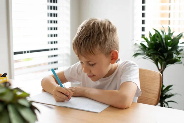 可爱的男孩在家做作业 远距离教育 网上教育 那男孩正在专心致志地在笔记本上写字 — 图库照片
