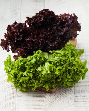 Beyaz ahşap arka planda çeşitli taze salata yaprakları. Taze yeşillik kavramı.