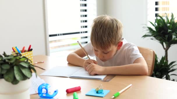 Cute Boy Doing School Homework Home Distance Education Online Education — Stock Video