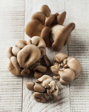 Beyaz ahşap arka planda taze istiridye mantarları. Sağlıklı beslenme kavramı.