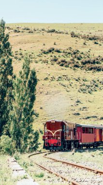 Demiryolundaki dizel tren güzel doğayla çevrili. Araç kavramı.