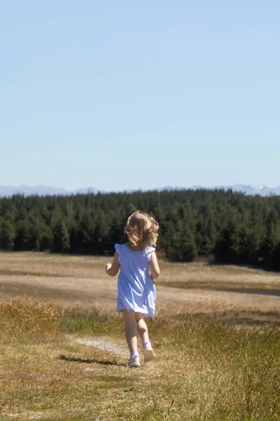 Cute funny girl running around the field in a dress in summer. The concept of childhood, holidays.