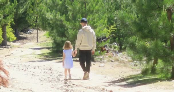 父と娘は 夏の森の道に沿って手を伸ばしています 親子時代のコンセプト — ストック動画