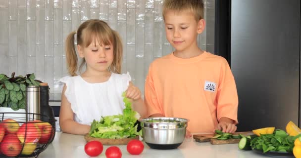 Aranyos Testvér Testvér Zöldséges Salátát Főznek Konyhában Egészséges Élelmiszer Fogalma — Stock videók