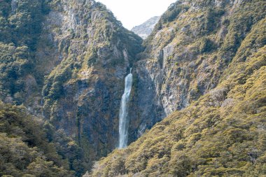 Devils Punchbowl şelaleleri yemyeşil yemyeşil suların arasında, Arthur Geçidi 'nin bir mücevheri. Seyahat