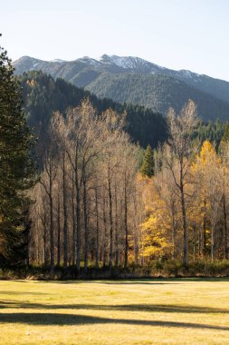 Parlak sonbahar ağaçları ve karla kaplı zirveleri olan görkemli dağların nefes kesici manzarası güzellikleri gözler önüne seriyor.