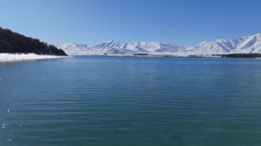 Sakin bir göl manzarası güzel bir şekilde karla kaplı dağlarla çevrilidir. Tekapo Gölü, Yeni Zelanda
