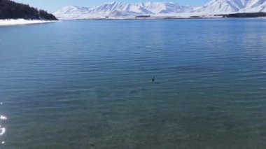 Sakin bir göl manzarası güzel bir şekilde karla kaplı dağlarla çevrilidir. Tekapo Gölü, Yeni Zelanda