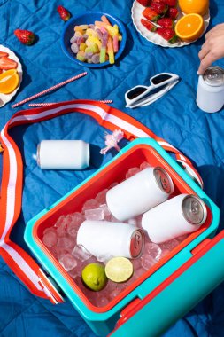 Buz küpleriyle dolu termo kutuda sahte içecek kutuları ve limonlar. Yaz piknik ortamında boş içecek kavanozları. Ürün reklamları