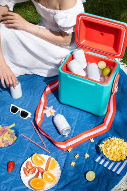 Buz küpleriyle dolu termo kutuda sahte içecek kutuları ve limonlar. Yaz piknik ortamında boş içecek kavanozları. Ürün reklamları