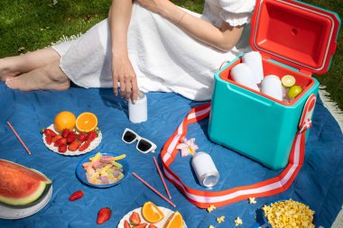 Buz küpleriyle dolu termo kutuda sahte içecek kutuları ve limonlar. Yaz piknik ortamında boş içecek kavanozları. Ürün reklamları