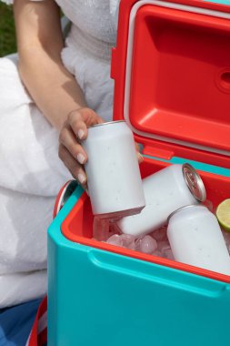 Elinde içecek kutusu olan bir kadın termos kutusunun üzerinde buz küpleriyle birlikte yakın çekim yapıyor. Pikniğe geri dönüşümlü teneke kutuda soğuk içecek alan bir kadın. Boş ambalaj